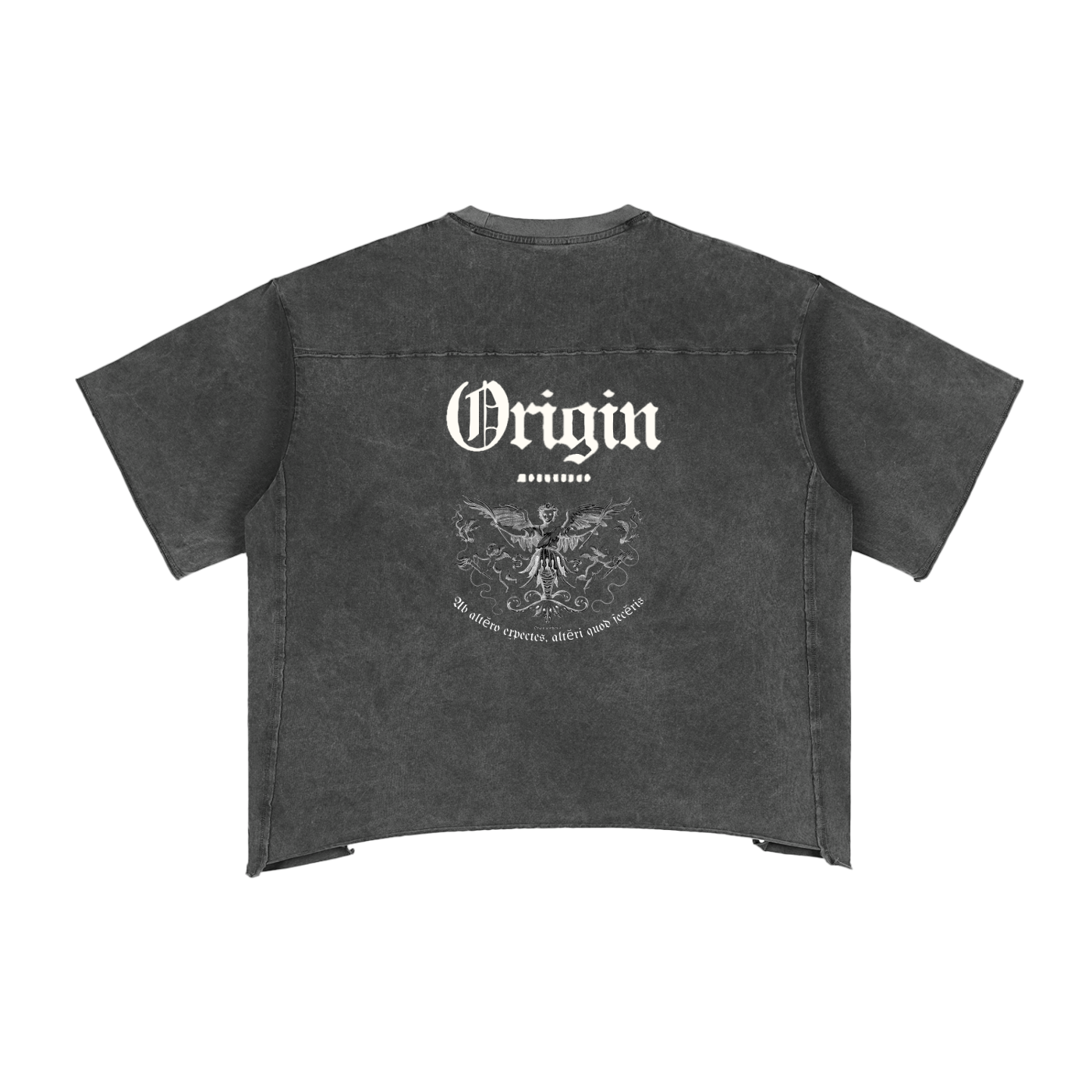 Origin Æsthetics Boxy T - Angel